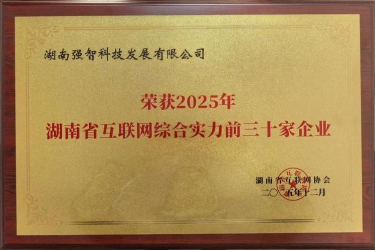 强智科技荣登2025湖南省互联网综合实力前三十强榜单，以数字技术赋能湖湘新发展